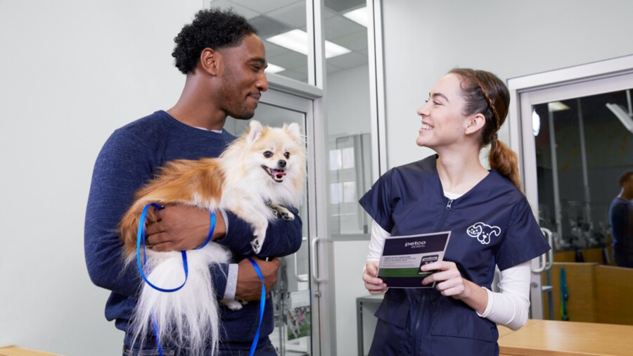 Petco shop dog trimmers